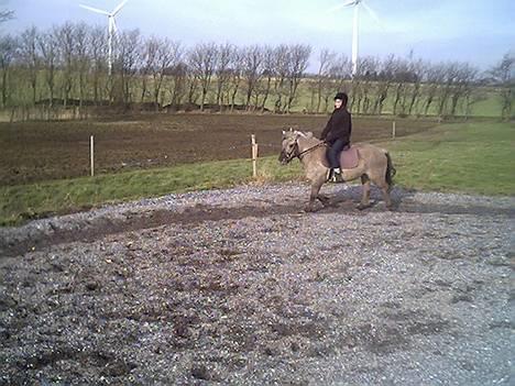 Anden særlig race Amanda *solgt* - Mig og Amanda billede 18