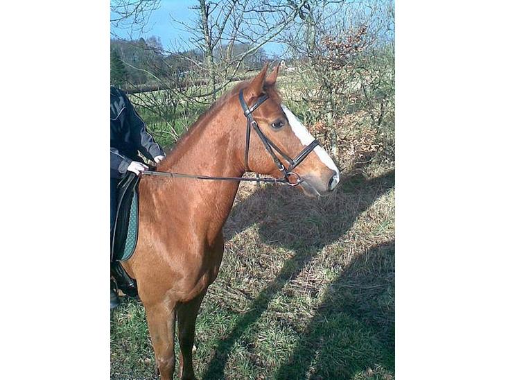 {{currentPhoto.altText}} billede {{currentPhoto.number}}