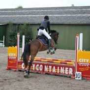 Tysk Sportspony Carlos con Diegos