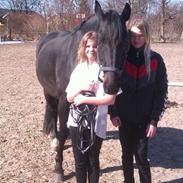 Oldenborg Futti af Aalborgdal