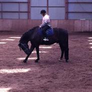 Oldenborg Futti af Aalborgdal