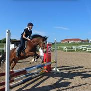 Anden særlig race Fair Play [ELEVPONY] PSR ??