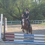 Anden særlig race Fair Play [ELEVPONY] PSR ??