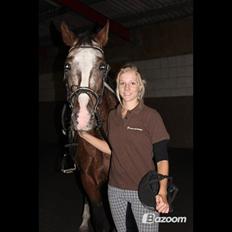 Anden særlig race Belive SOLGT ;'(