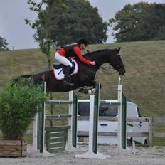 Anden særlig race Filana