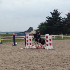 Tinker Toby (den bedste)