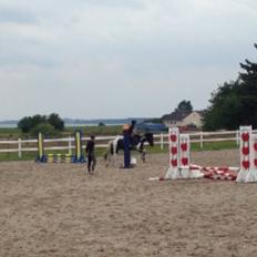 Tinker Toby (den bedste)