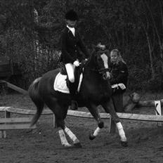 New Forest Kjølens Fanfare