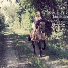 Anden særlig race RONALDO