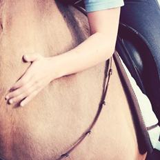 Anden særlig race RONALDO