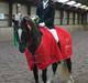 Welsh Cob (sec D) Sirius-S [Rider]