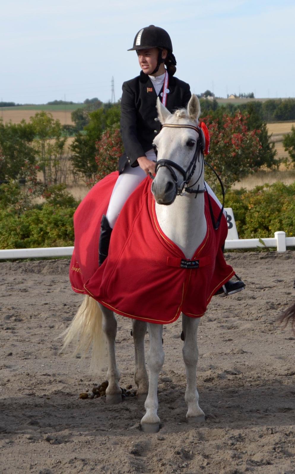 Connemara Hesteklewa Day Dream (day) - musse Bornholmsmester dressur 2013! ♥♥
LB2 67,8%
foto: min far billede 1