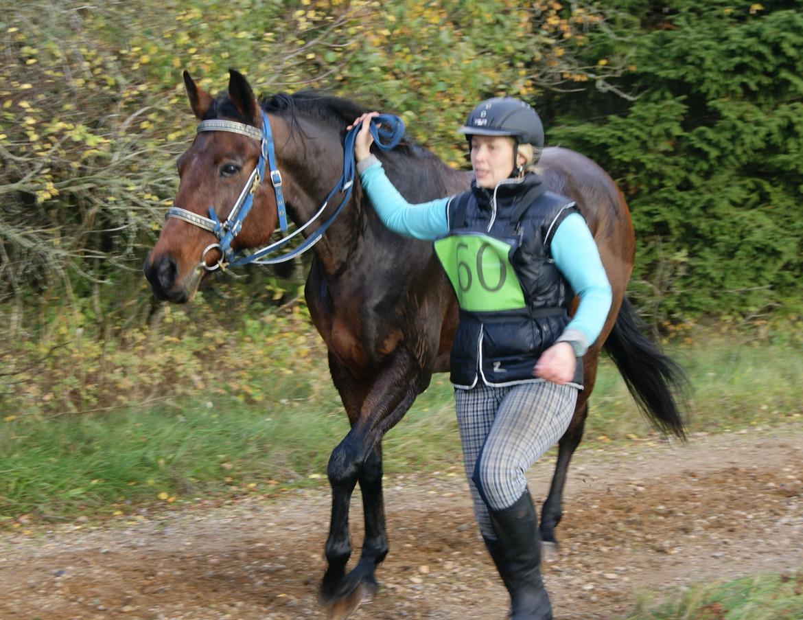 Anden særlig race Molly - Feldborg Ridtet 2013, Vet chek billede 40