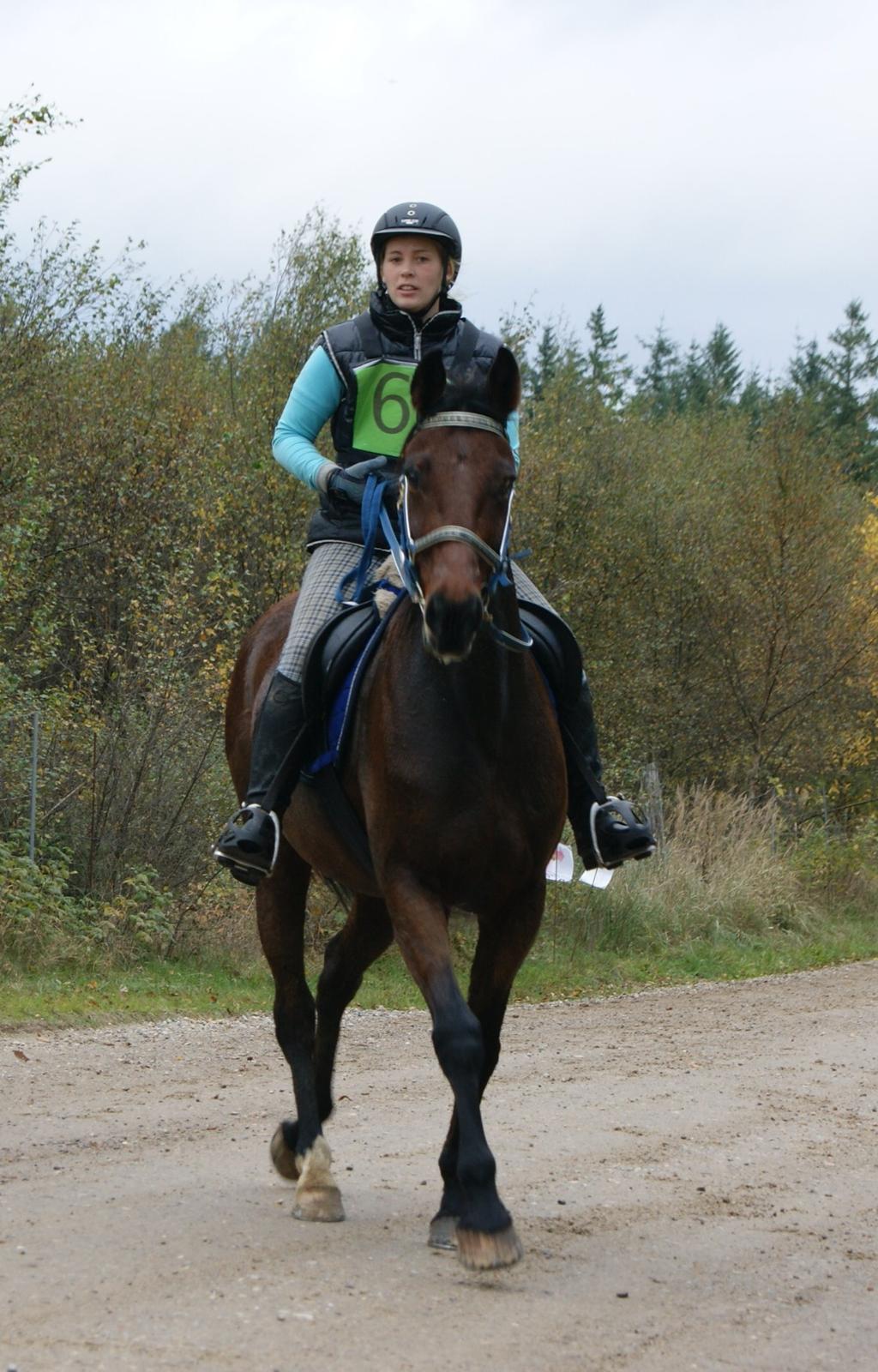 Anden særlig race Molly - Feldborg Ridtet 2013 billede 42