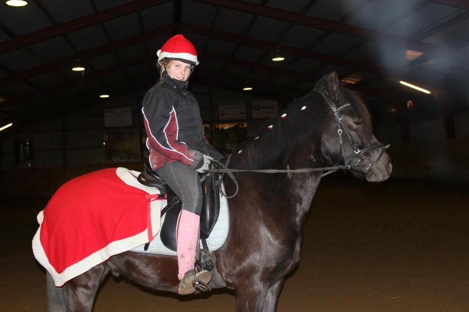 Pinto Galoply´s Marster - mig og marster til juleopvisning billede 19