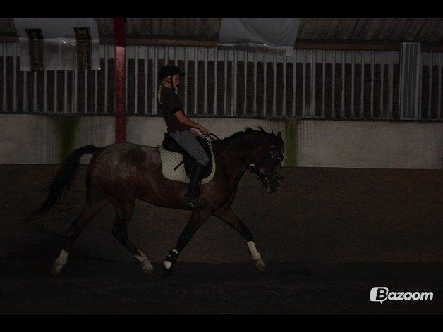 Anden særlig race Belive SOLGT ;'( billede 3