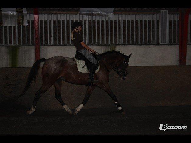 Anden særlig race Belive SOLGT ;'( billede 4