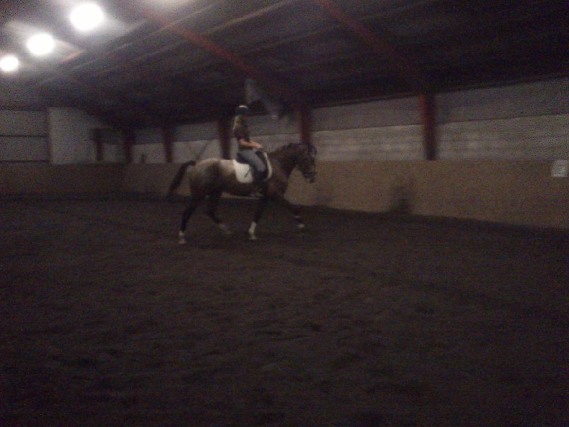 Anden særlig race Belive SOLGT ;'( billede 20