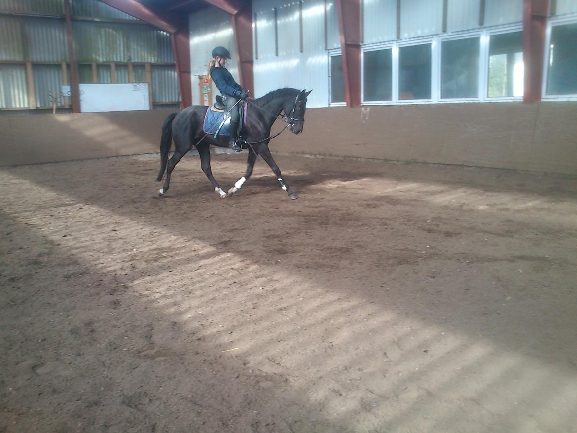 DSP Faithful Little Joy, billede 15