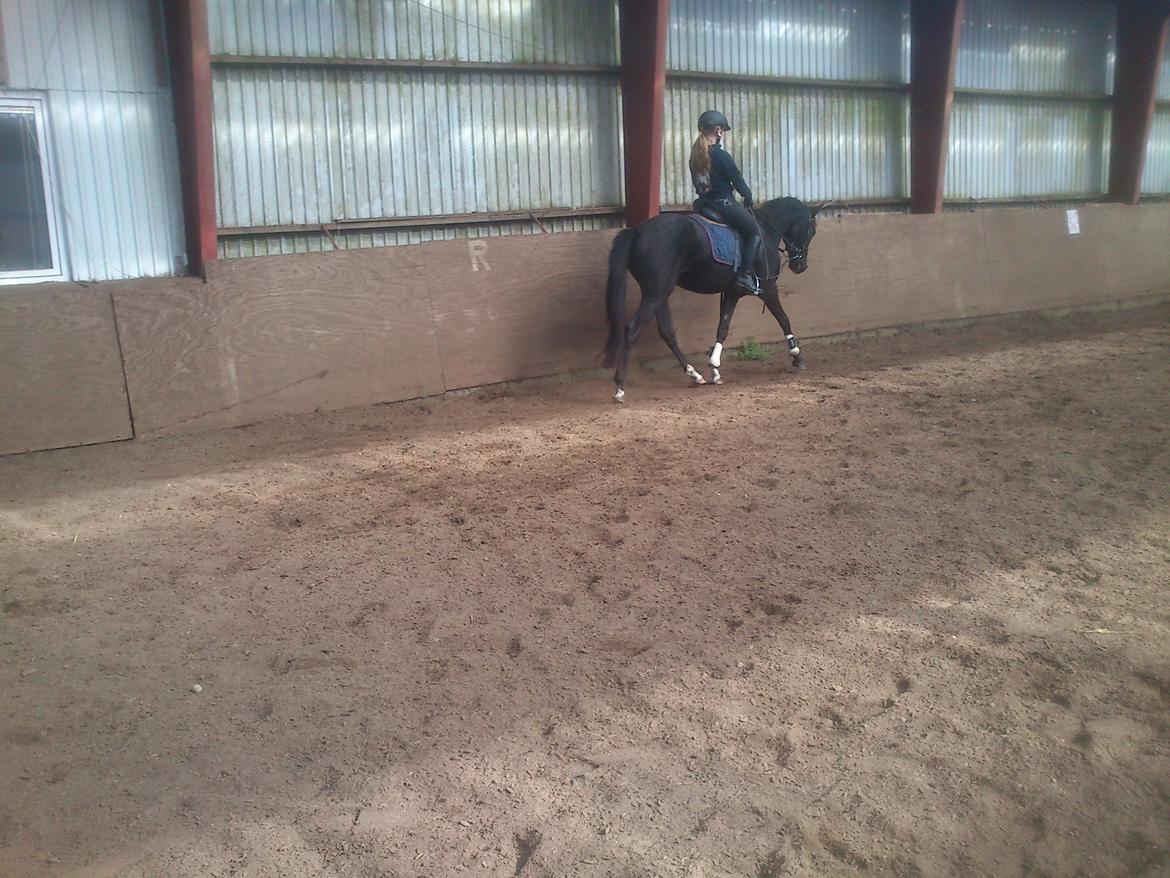 DSP Faithful Little Joy, billede 16