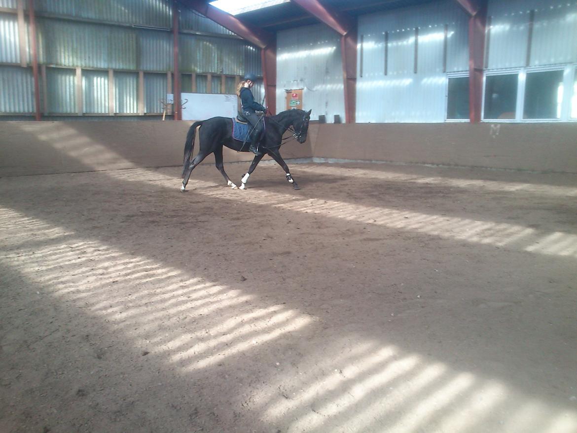 DSP Faithful Little Joy, billede 17