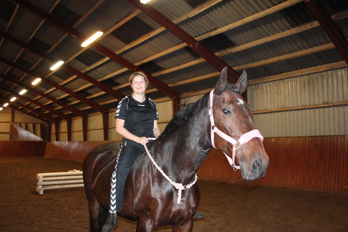 Anden særlig race Vilsbæk Flicka (Himmelhest) - Hyggeaften  på BE FOTO Diana billede 9