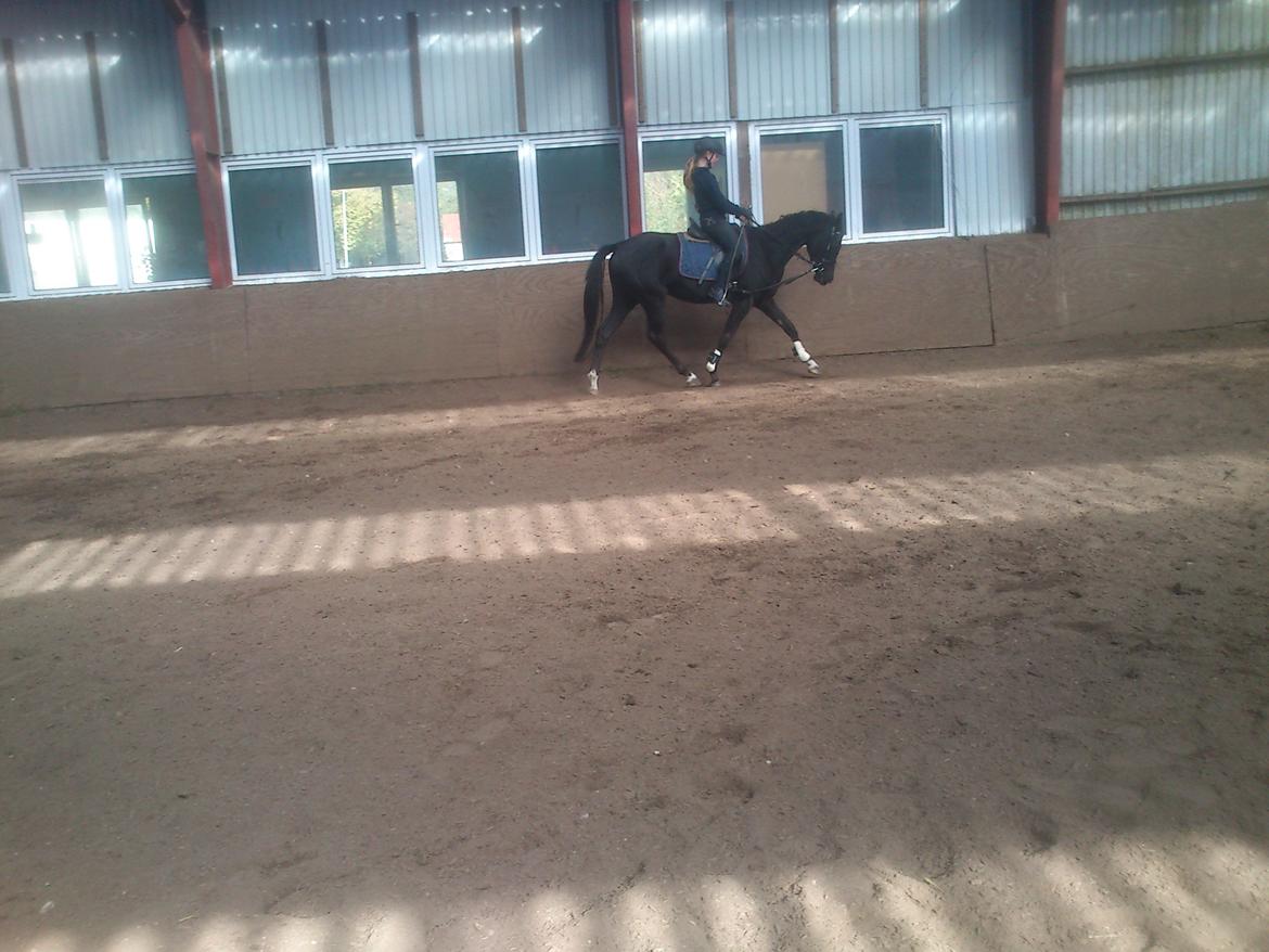 DSP Faithful Little Joy, billede 18