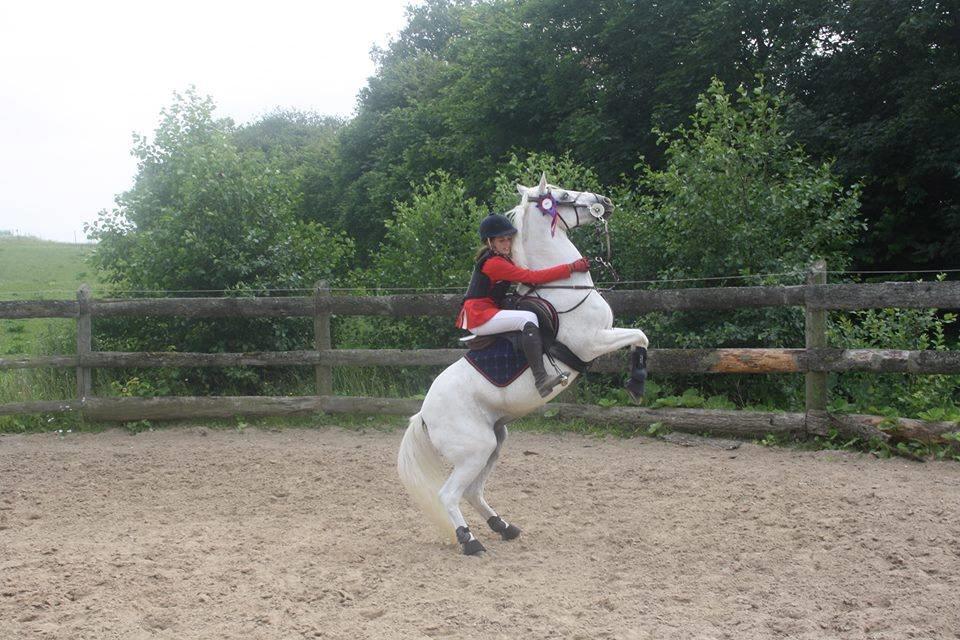 Anden særlig race Maicha - Sommer 2013 billede 3