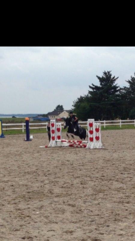 Tinker Toby (den bedste) - 2) Til springtræning med Christina.  billede 2