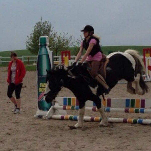 Tinker Toby (den bedste) - 4) Vores første rigtige spring sammen, efter jeg var røget af :)  billede 4