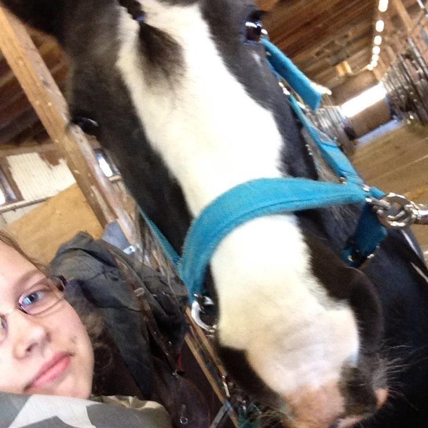 Tinker Toby (den bedste) - 5) Toby, en ven jeg har haft ved min side igennem mange svære situationer. <3 billede 5