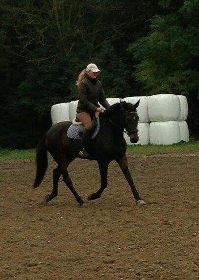 Anden særlig race Missgin *Himmelhest* billede 5