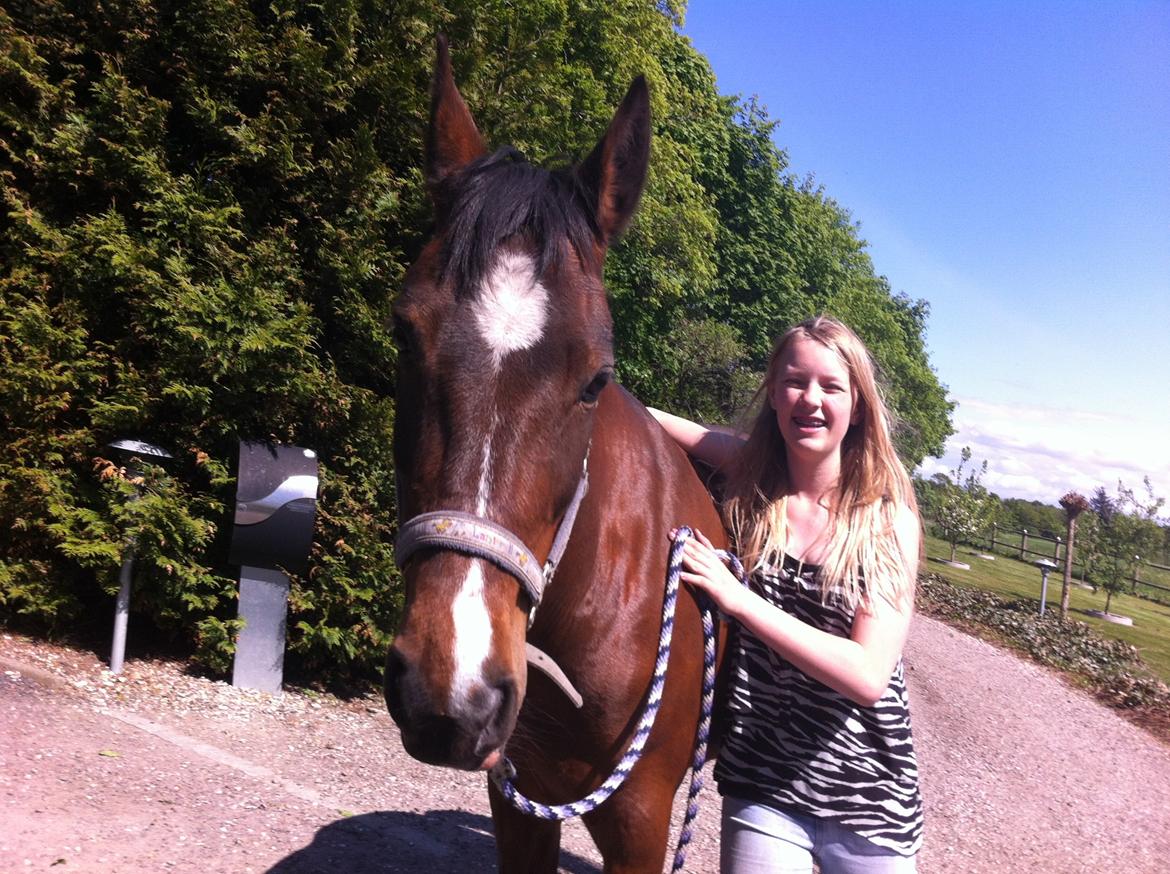 New Forest nicky billede 5