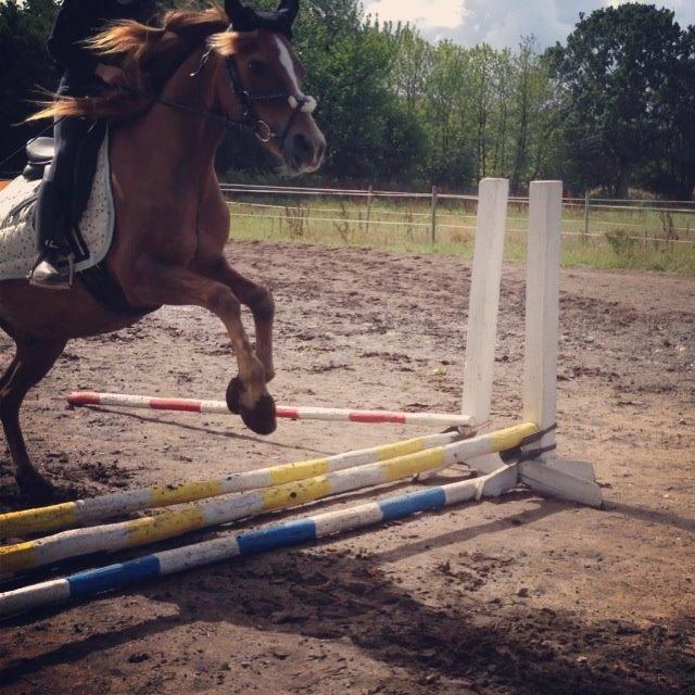 Anden særlig race Bazooka - velkommen. 30 cm.:) billede 1
