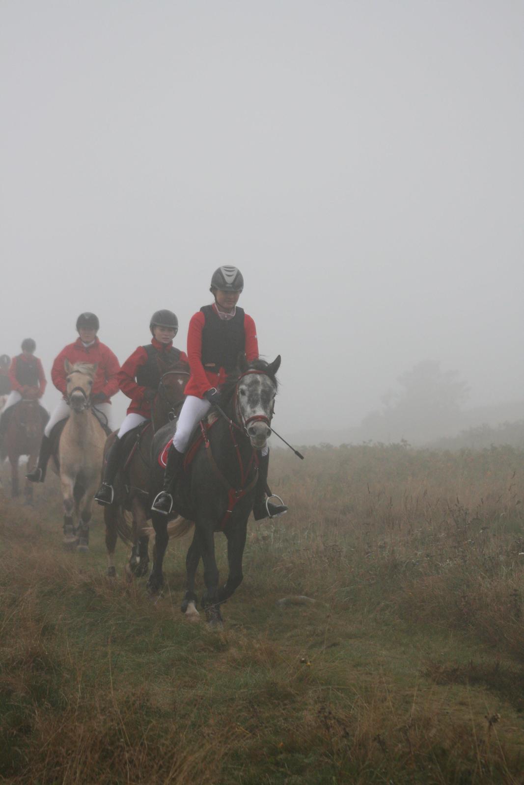 New Forest Toftgaards New Hope - Spøgelsetog til jagt :O billede 14