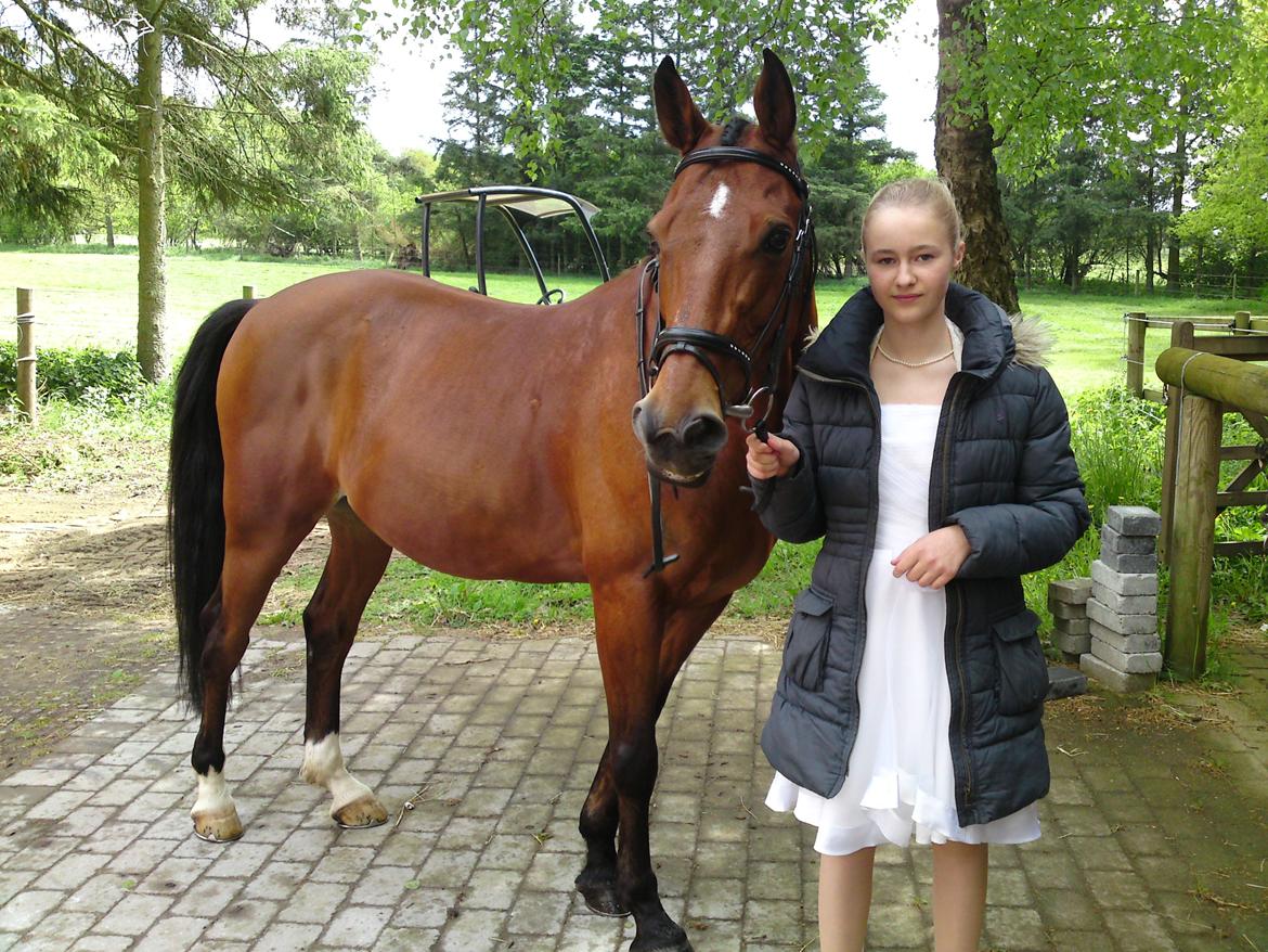 Anden særlig race Shorty - Haha! Ser helt sur ud! xD Måske er jeg misundelig på Shorty over han er så fin :-* billede 5