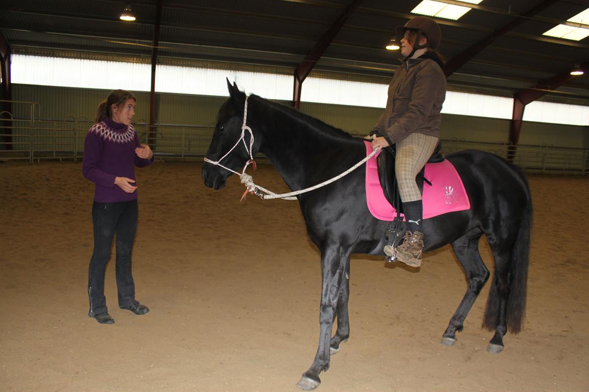 DSP Fiona billede 19