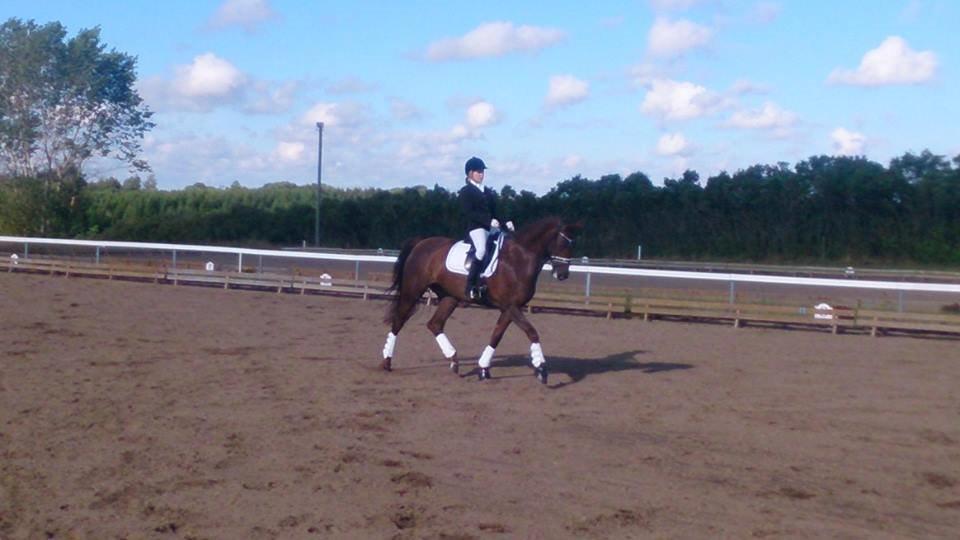 Holstener Calitas billede 2