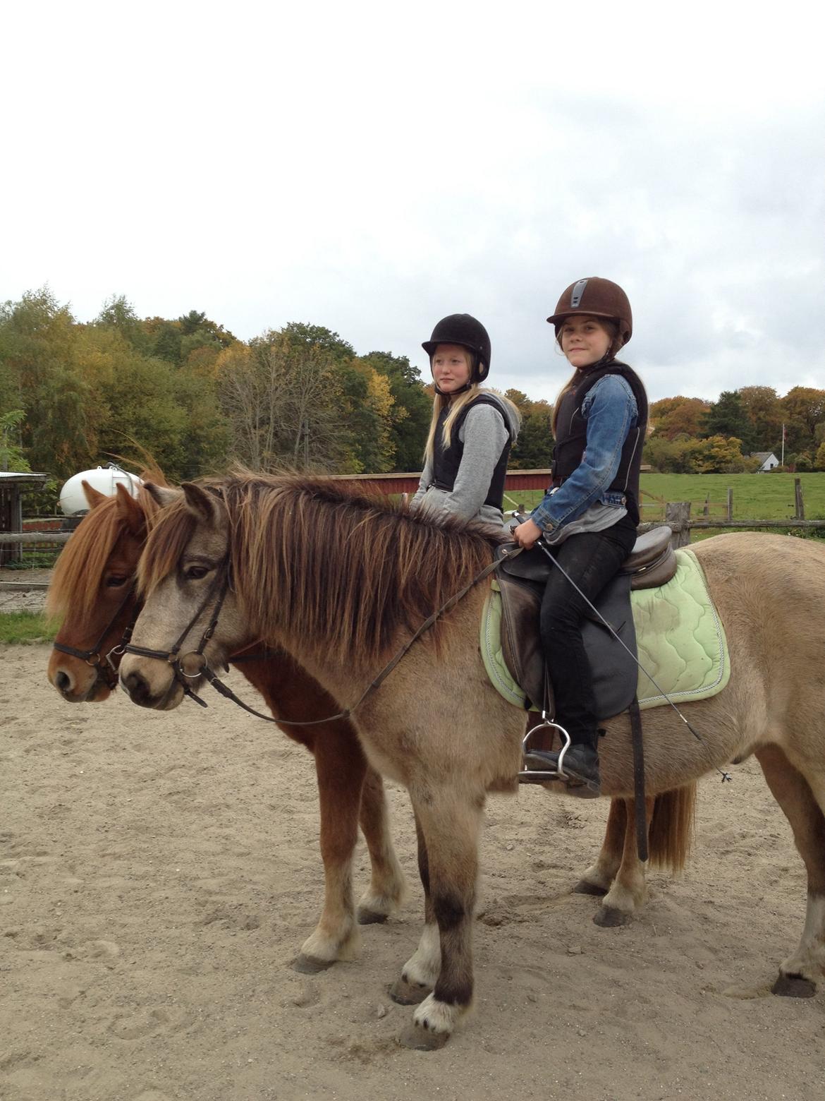 Islænder Blettur fra Tjenergården - Hyggeridning med veninden Sally, på min venindes hest Draumur billede 9