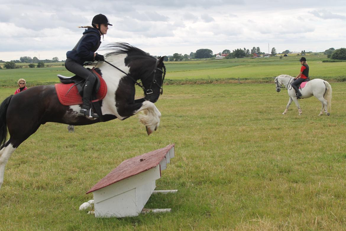 Tinker Aidan - Søborggård Ridelejr 2013 billede 19