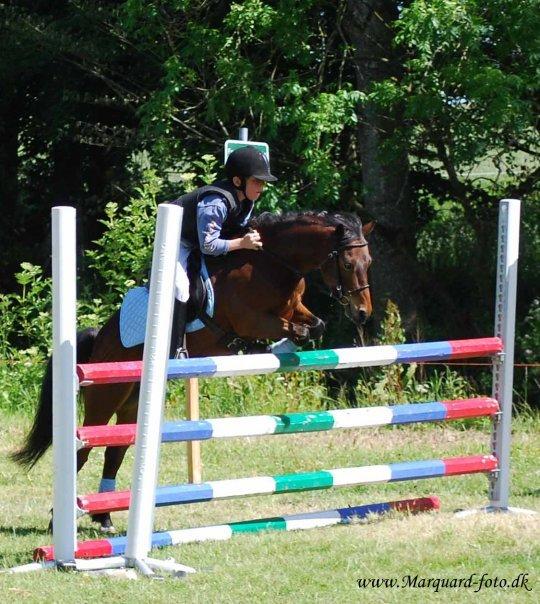 Dartmoor Hr. Karlsson billede 1