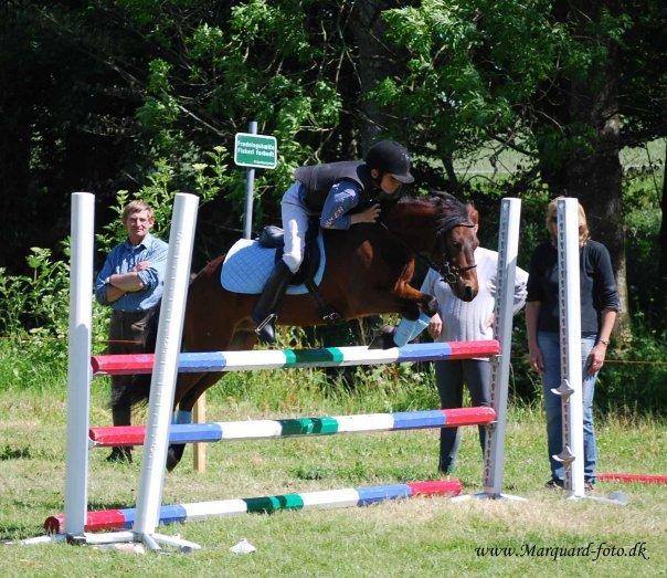 Dartmoor Hr. Karlsson billede 2