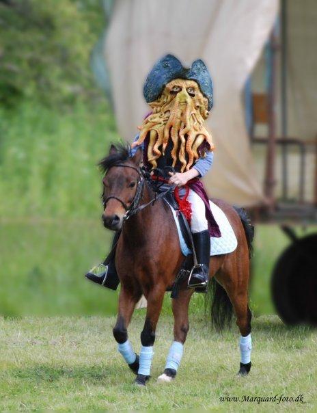 Dartmoor Hr. Karlsson billede 3