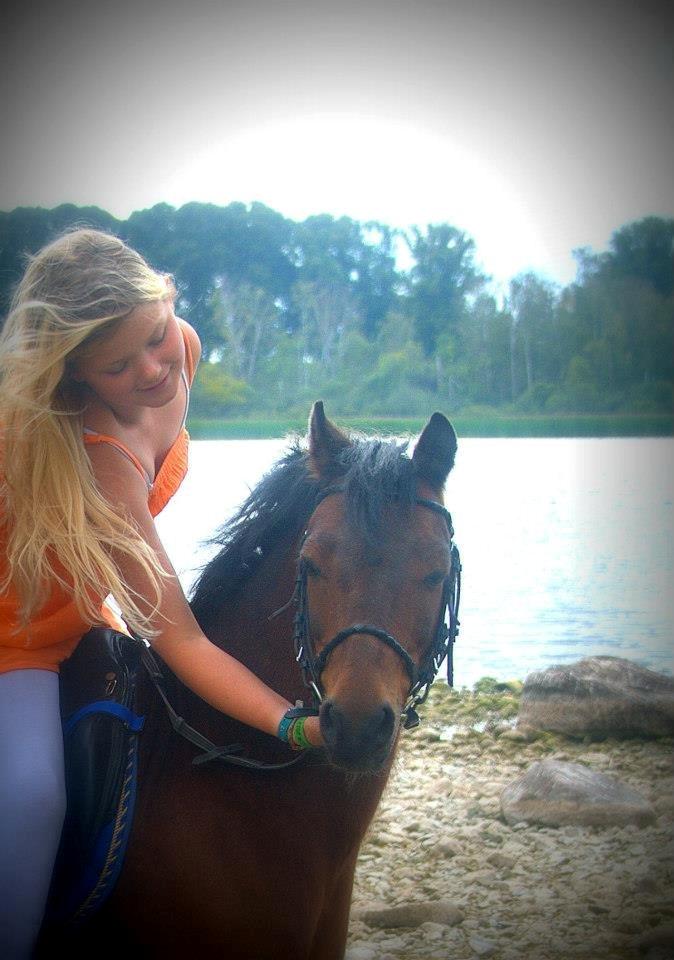 Dartmoor Hr. Karlsson billede 11