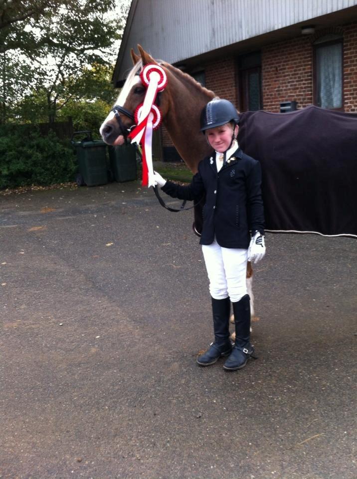 Welsh Pony (sec B) Den deel´s Romeo Savnet - Hammerum rideklub<3 billede 16