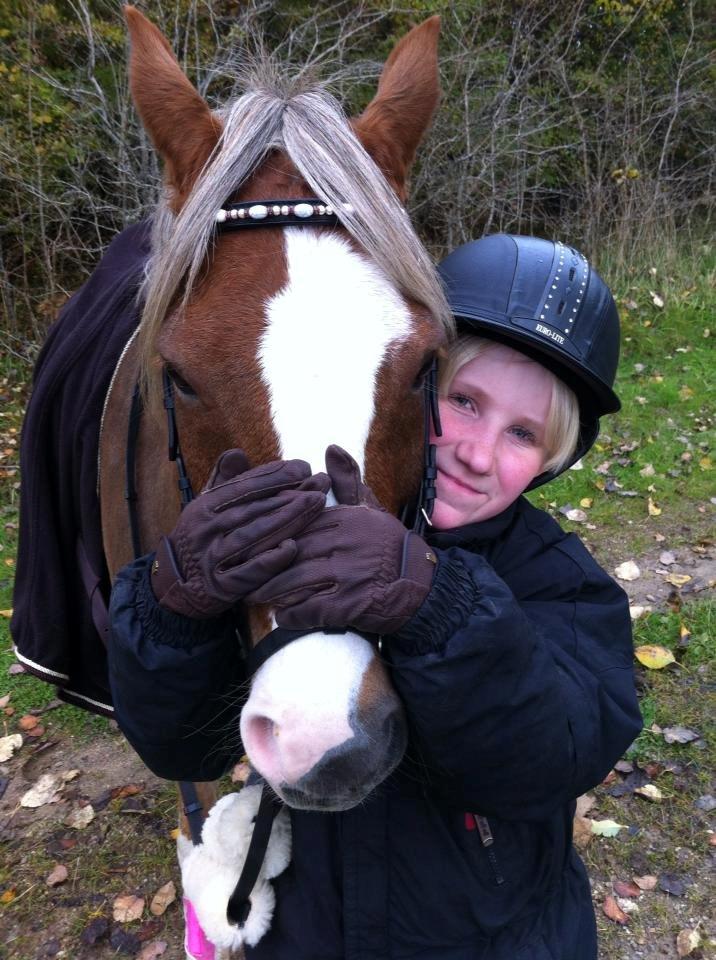 Welsh Pony (sec B) Den deel´s Romeo Savnet - Elsker dig skat<3<3 billede 17