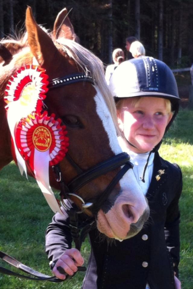 Welsh Pony (sec B) Den deel´s Romeo Savnet - 1 pladser igen<3 billede 4