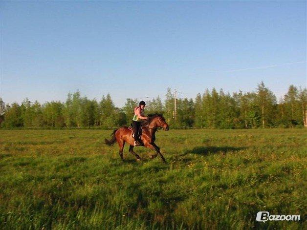 Traver V.G. Ben Shalou - Jordetur <3 billede 6