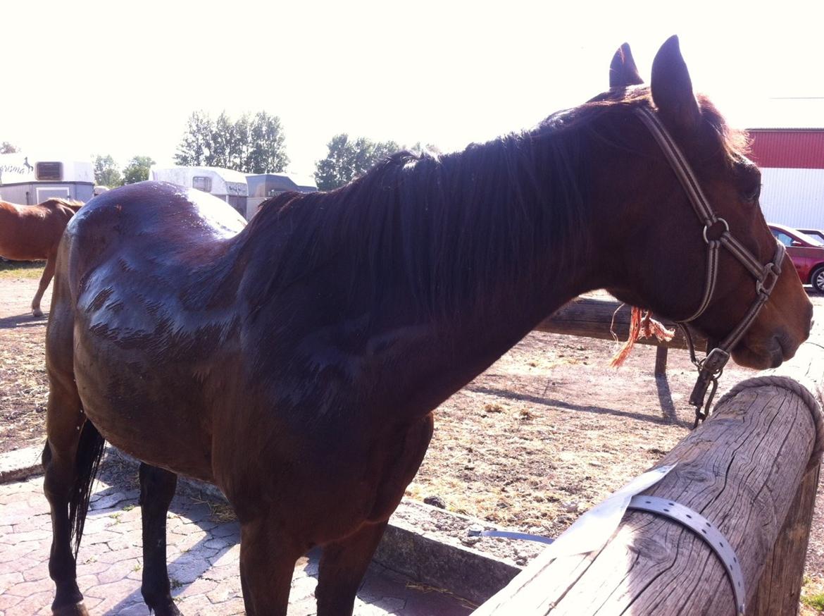 Traver V.G. Ben Shalou - Været i bad en varm sommerdag <3 billede 3