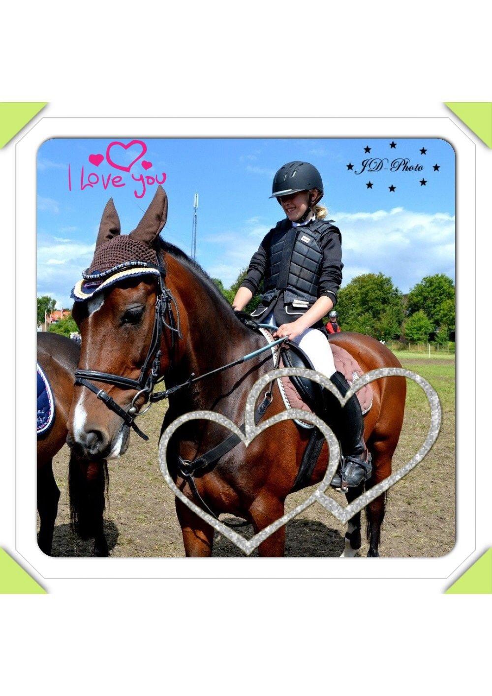 New Forest nicky billede 11